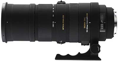 Sigma APO 150-500mm f/5-6.3 DG OS HSM review, for the price sensitive wilde life photographer.